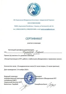 Сертификат 13